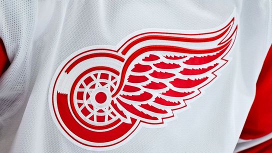 On verge of camp, Red Wings name Shawn Horcoff interim GM (NHL). Photo by David Kirouac