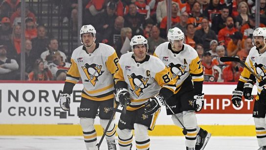 Hoffmann family's Penguins purchase unanimously approved by NHL (NHL)