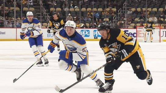Father of Penguins' Andrei Kuzmenko killed by bear (NHL). Photo by Charles LeClaire