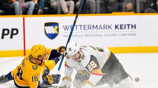 Golden Knights stay hot, pull away from Predators (NHL). Photo by Steve Roberts