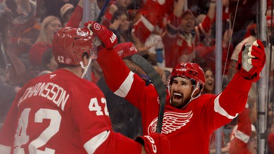 Wings seek home-ice turnaround as Sharks continue road trip (NHL). Photo by Rick Osentoski