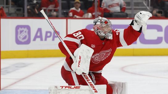 Red Wings carry 4-game point streak into start of trip at Seattle (NHL). Photo by Rick Osentoski