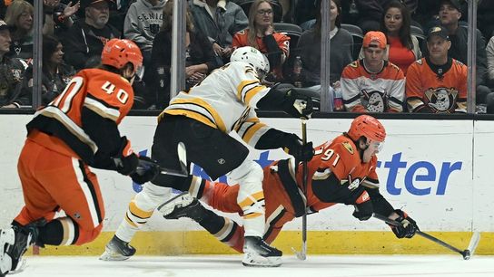 Bruins escape 2-goal hole, emerge with win over Ducks (NHL). Photo by Griffin Hooper