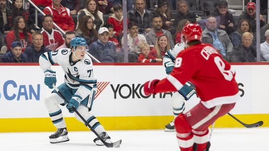 Red Wings rally late, beat Sharks in shootout (NHL). Photo by Brian Bradshaw Sevald