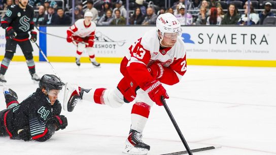 Red Wings, Canucks seek 60-minute efforts coming off uneven losses (NHL). Photo by Joe Nicholson